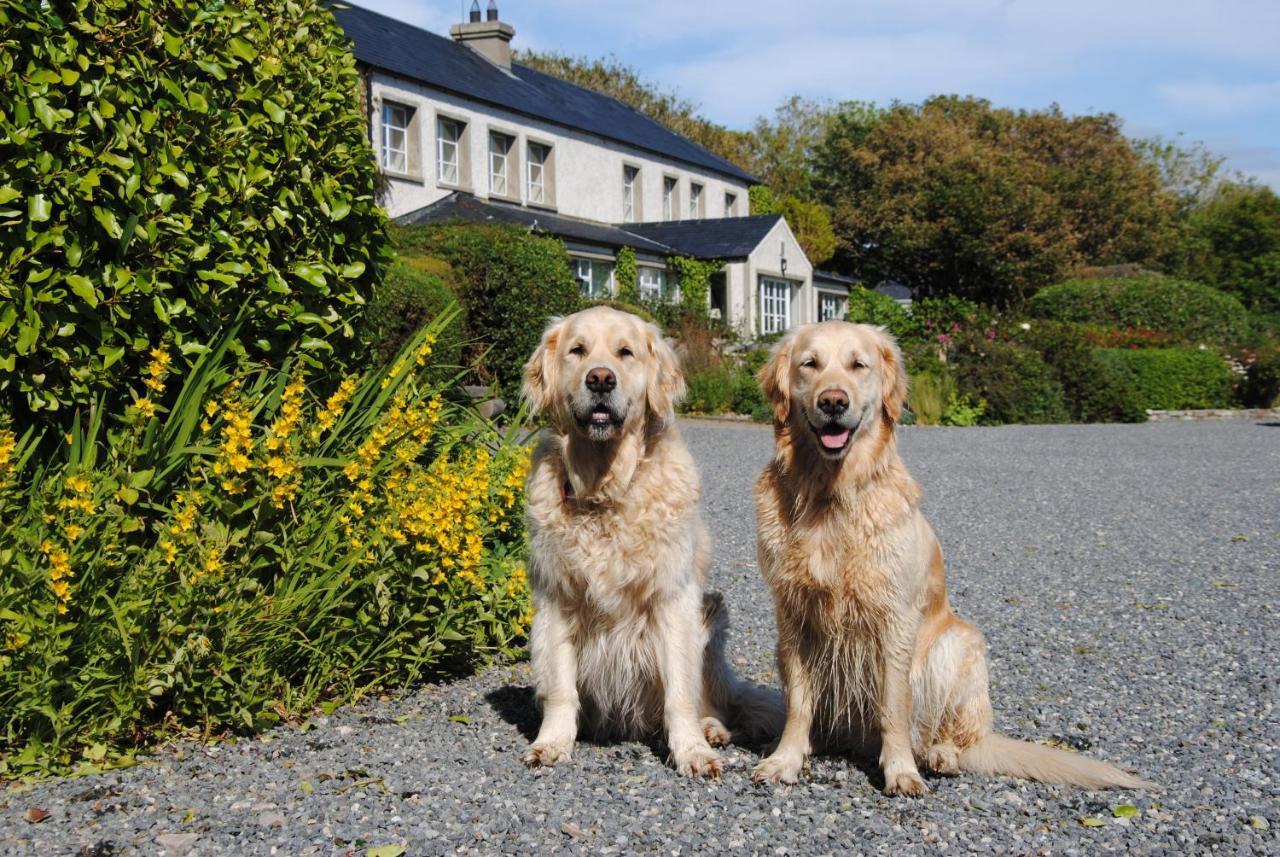 The Mill Hotel Dunfanaghy Kültér fotó